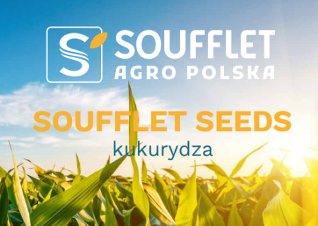 Nowy katalog: kukurydza 2026