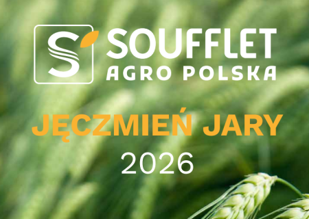 Poznaj ofertę odmian Jęczmienia Jarego na sezon 2026